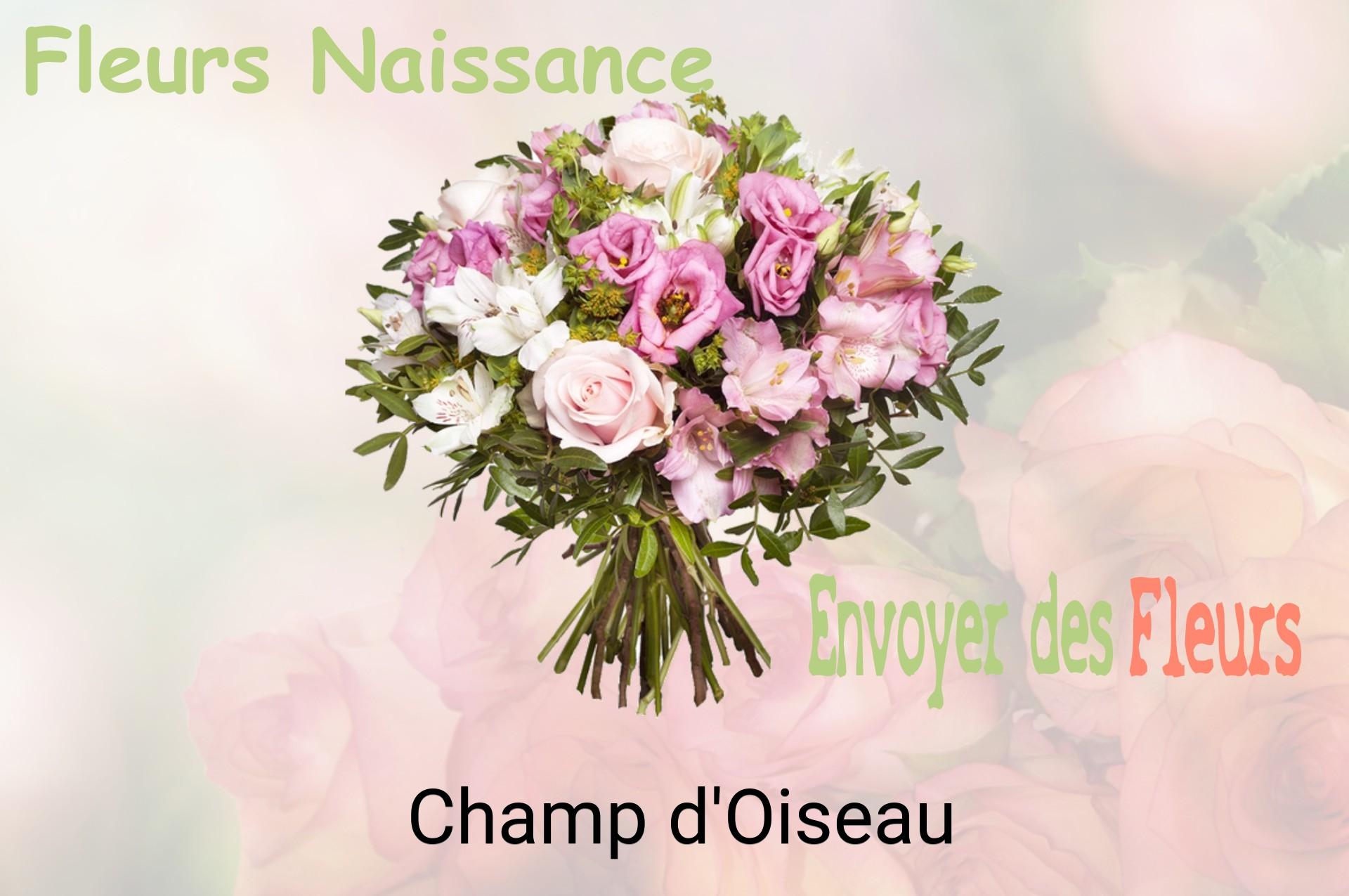 Bouquet de fleurs de naissance livré à Champ-d'Oiseau