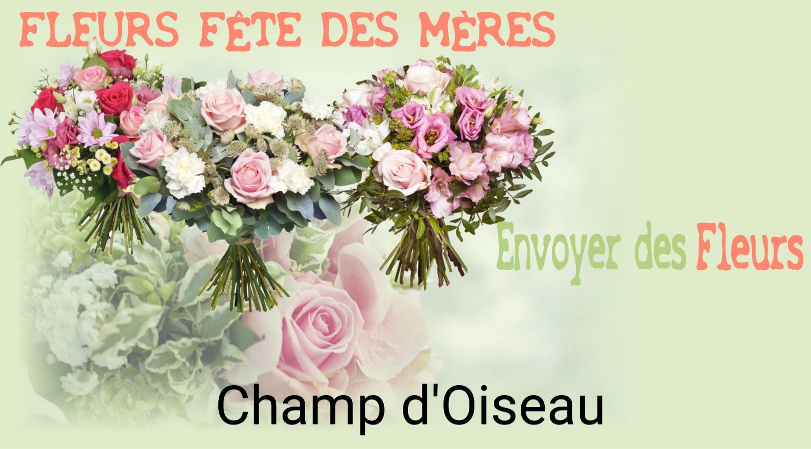 Bouquet de Fête des Mères livré à Champ-d'Oiseau